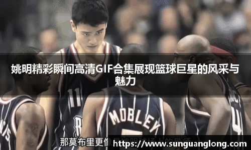 姚明精彩瞬间高清GIF合集展现篮球巨星的风采与魅力