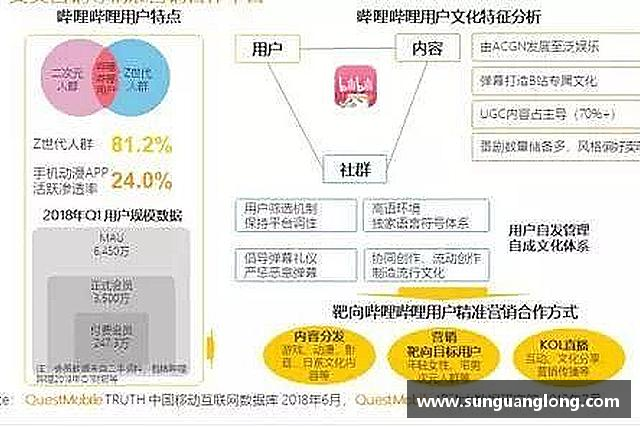 发现龙8国际